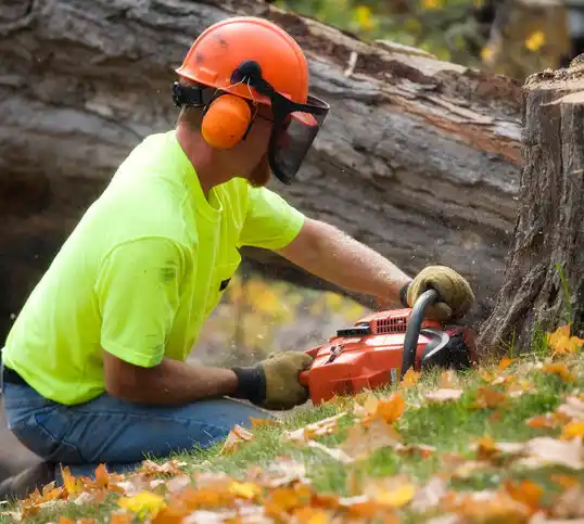 tree services Malverne Park Oaks